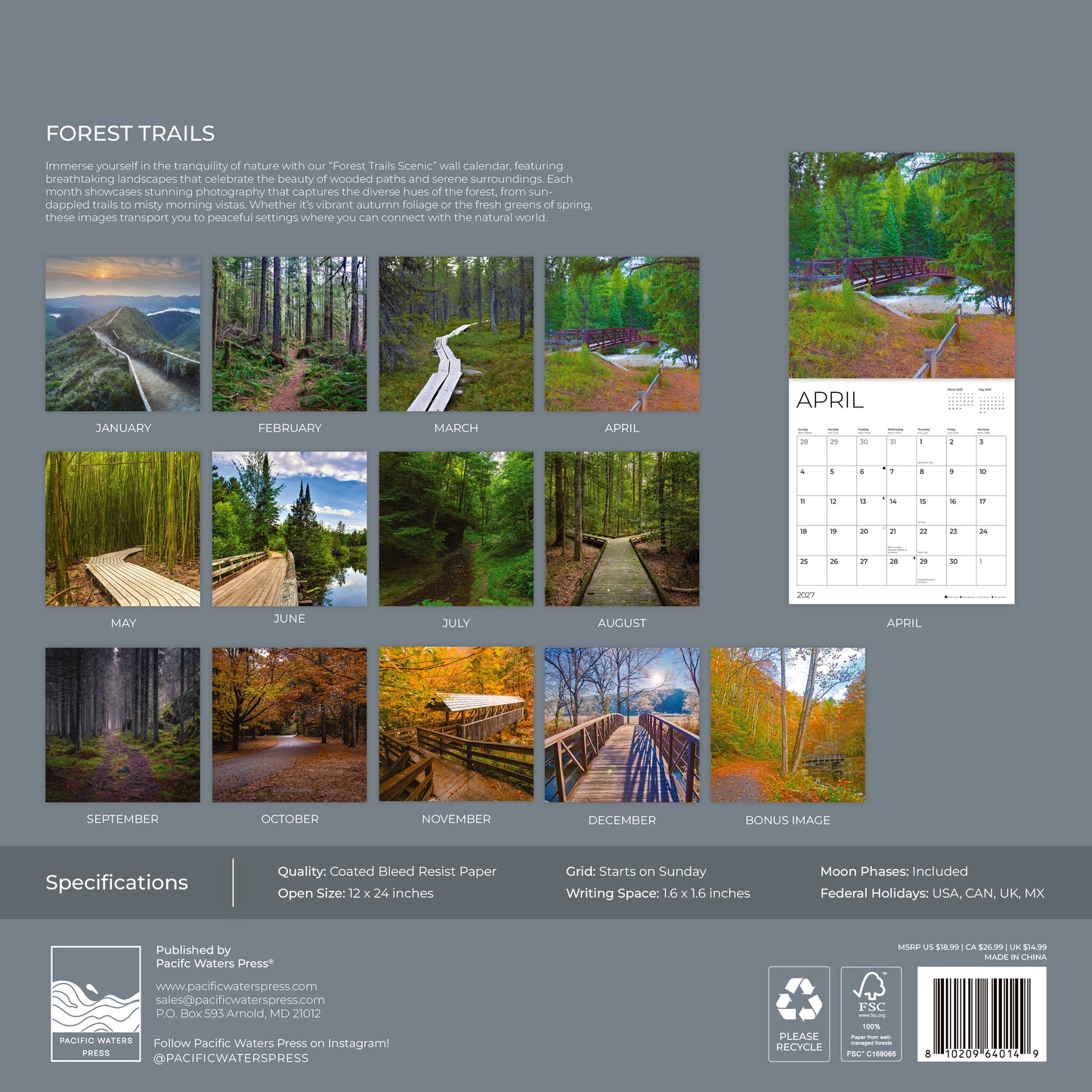 '27 Wall Calendar - Forest Trails