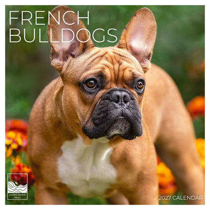 '27 Wall Calendar - French Bulldogs
