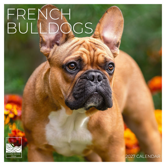 '27 Wall Calendar - French Bulldogs
