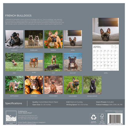 '27 Wall Calendar - French Bulldogs