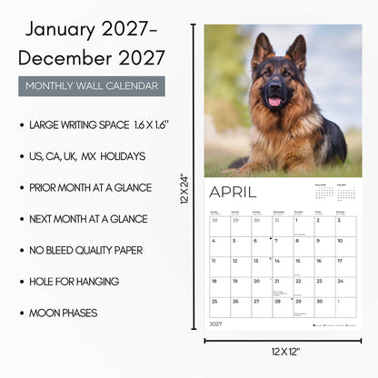 '27 Wall Calendar - German Shepherds