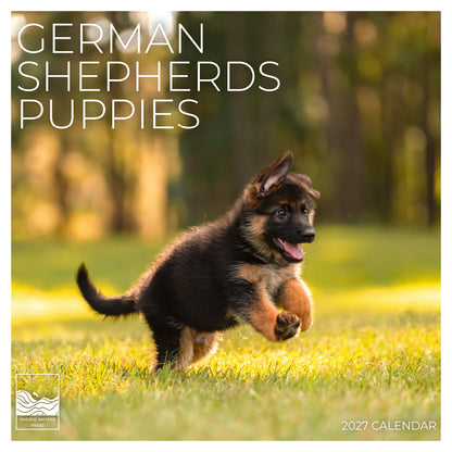 '27 Wall Calendar - German Shepherds Puppies