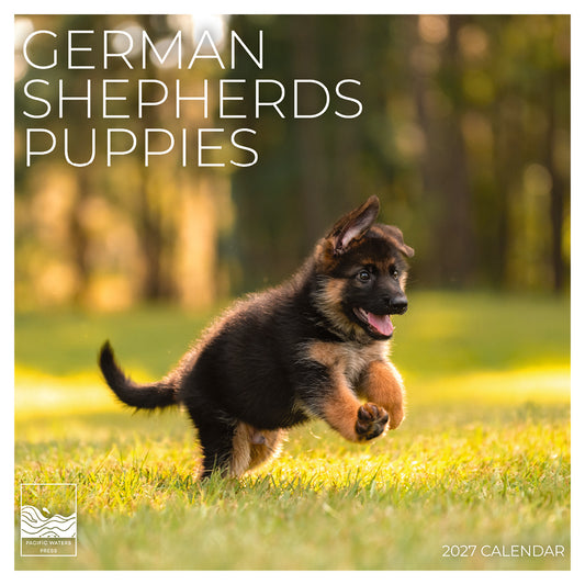 '27 Wall Calendar - German Shepherds Puppies