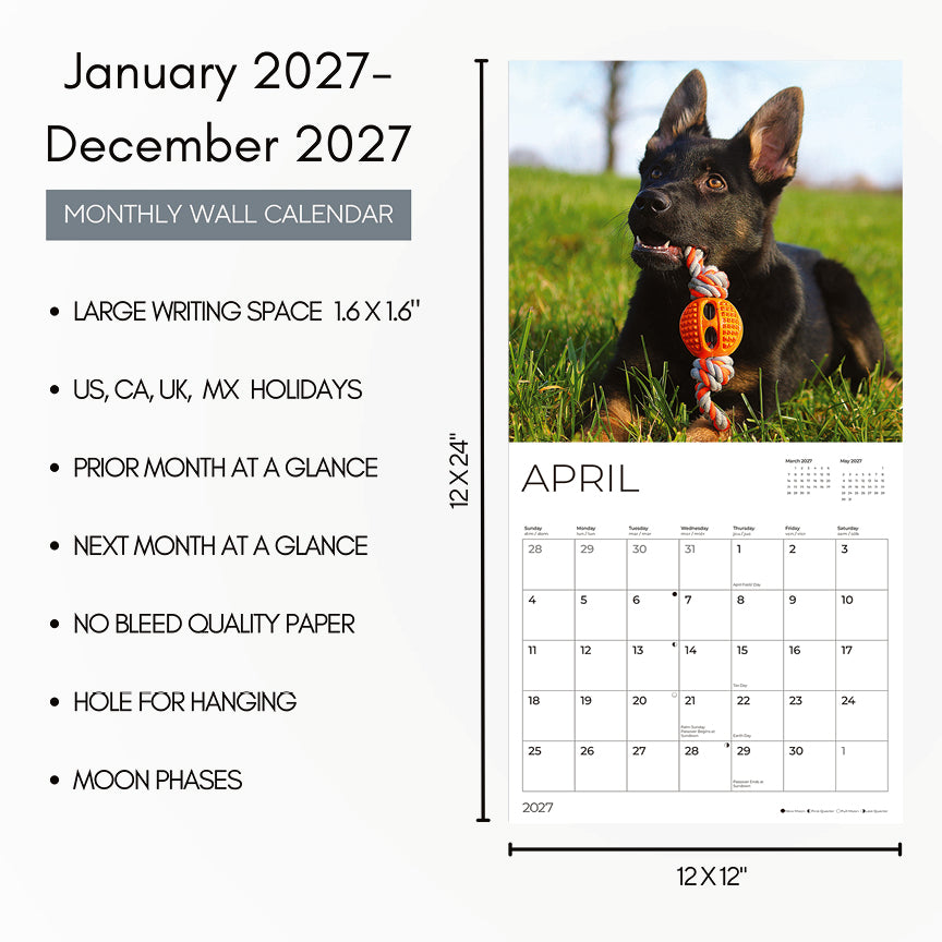 '27 Wall Calendar - German Shepherds Puppies