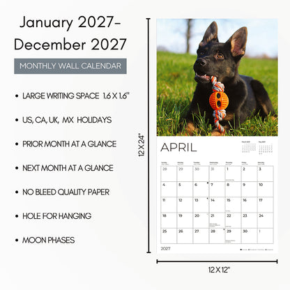 '27 Wall Calendar - German Shepherds Puppies