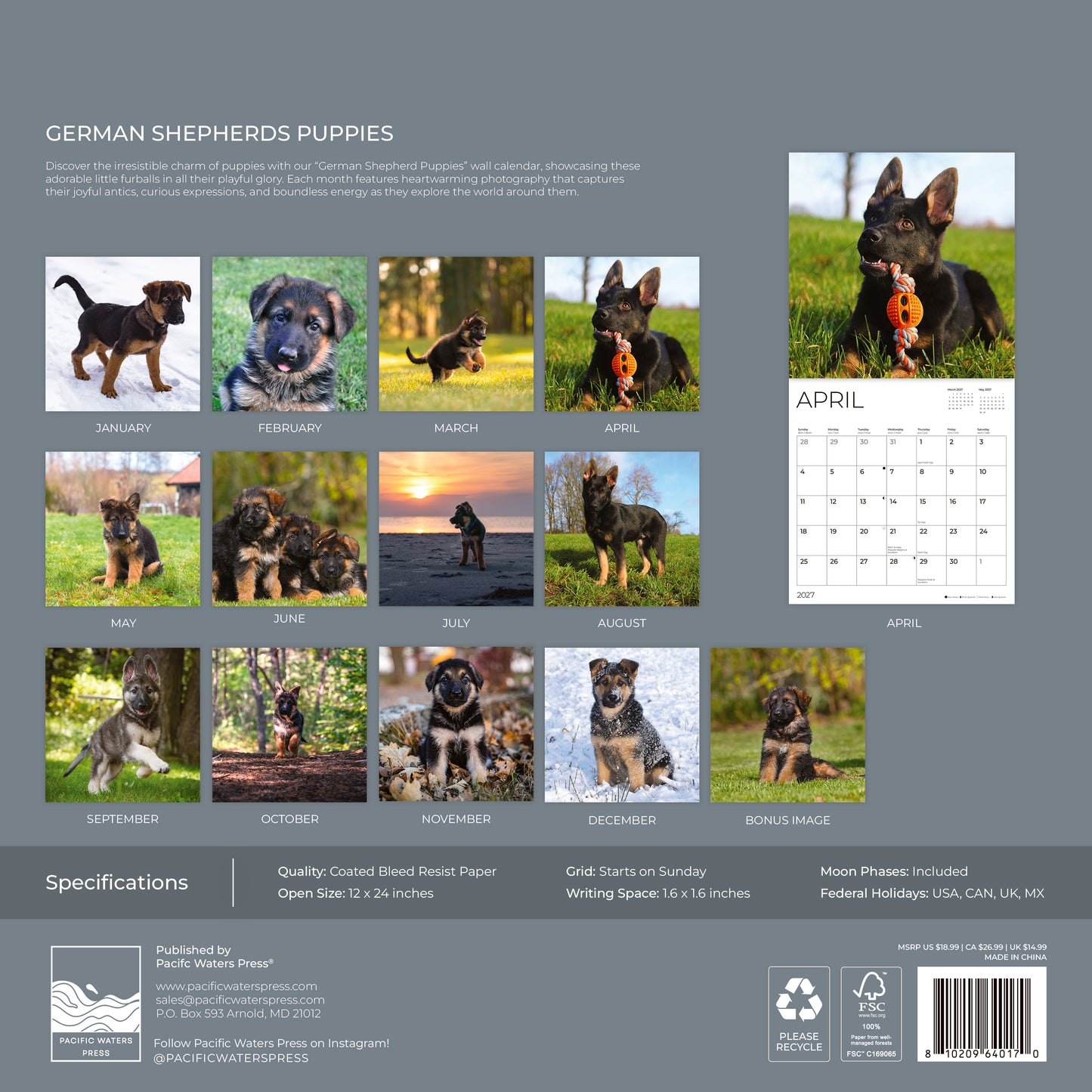 '27 Wall Calendar - German Shepherds Puppies