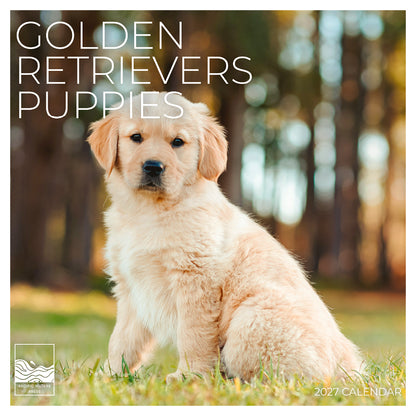 '27 Wall Calendar - Golden Retrievers Puppies