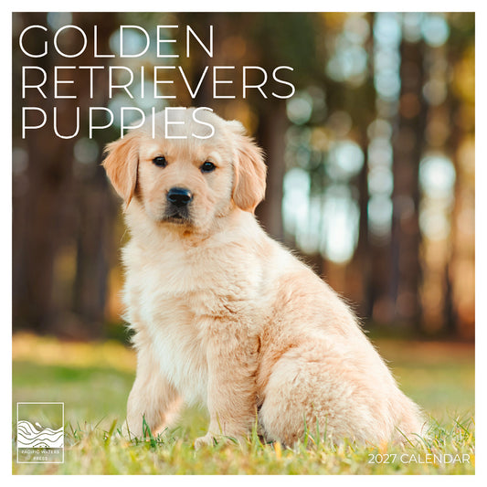 '27 Wall Calendar - Golden Retrievers Puppies
