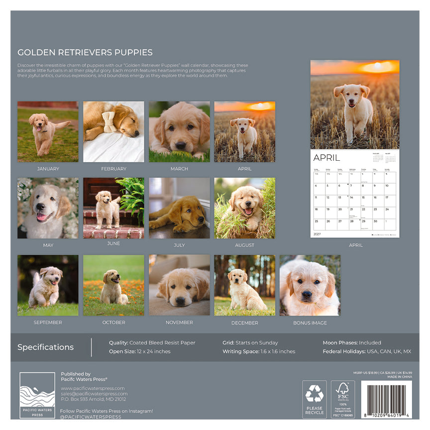 '27 Wall Calendar - Golden Retrievers Puppies