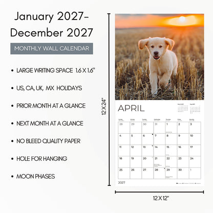 '27 Wall Calendar - Golden Retrievers Puppies