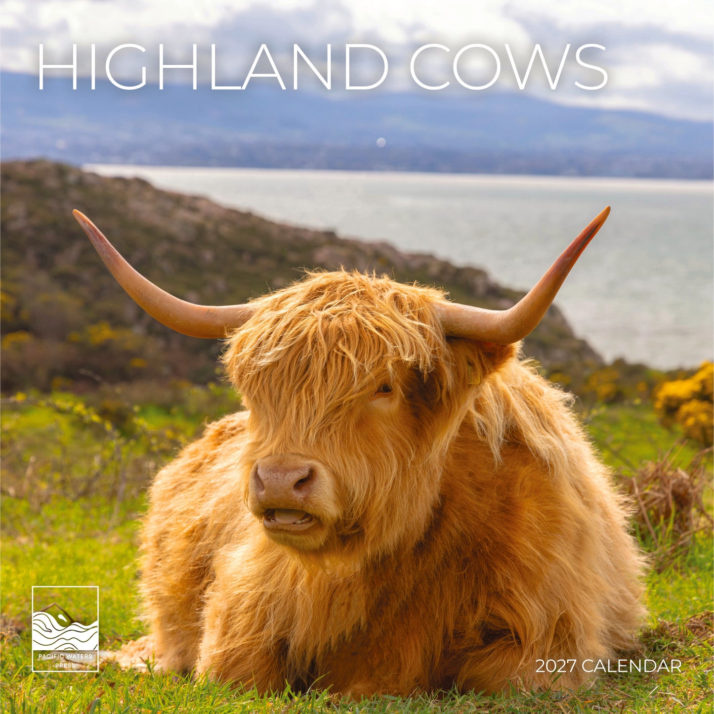 '27 Wall Calendar - Highland Cows