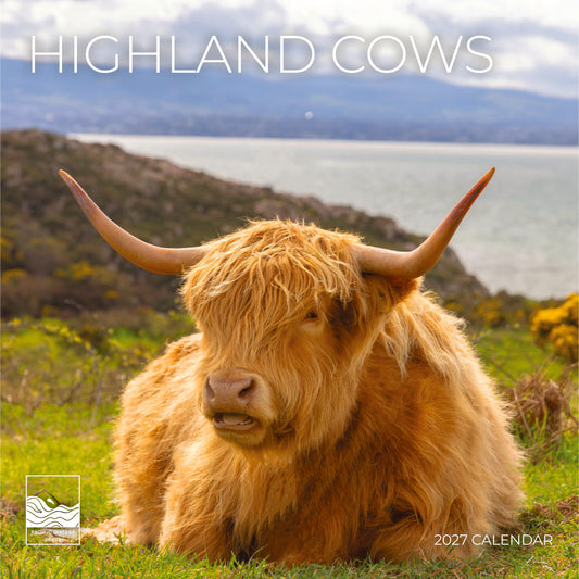 '27 Wall Calendar - Highland Cows