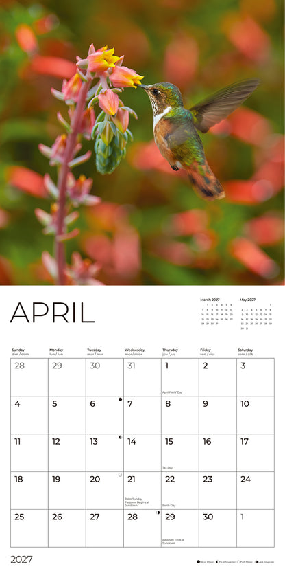 '27 Wall Calendar - Hummingbirds