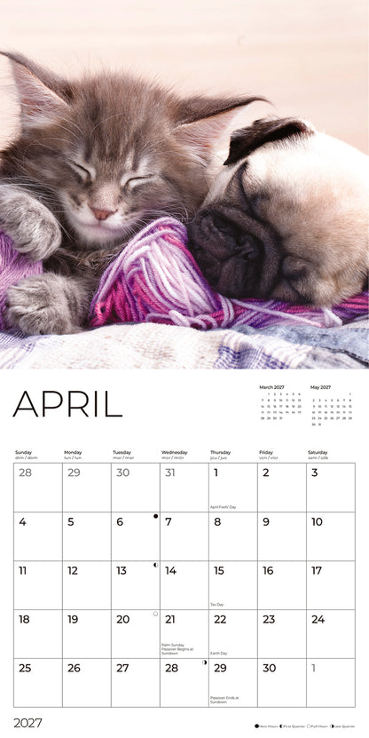 '27 Wall Calendar - Kittens and Puppies