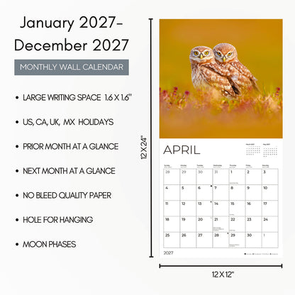 '27 Wall Calendar - Owls