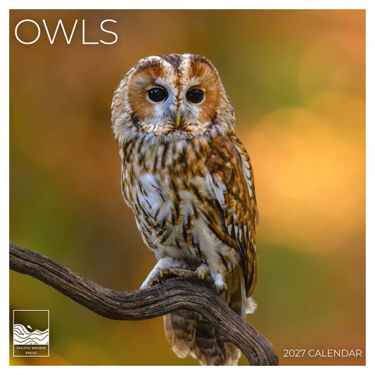 '27 Wall Calendar - Owls