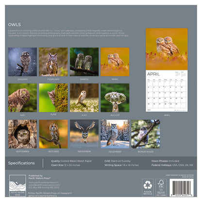 '27 Wall Calendar - Owls