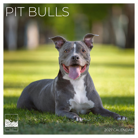 '27 Wall Calendar - Pit Bulls