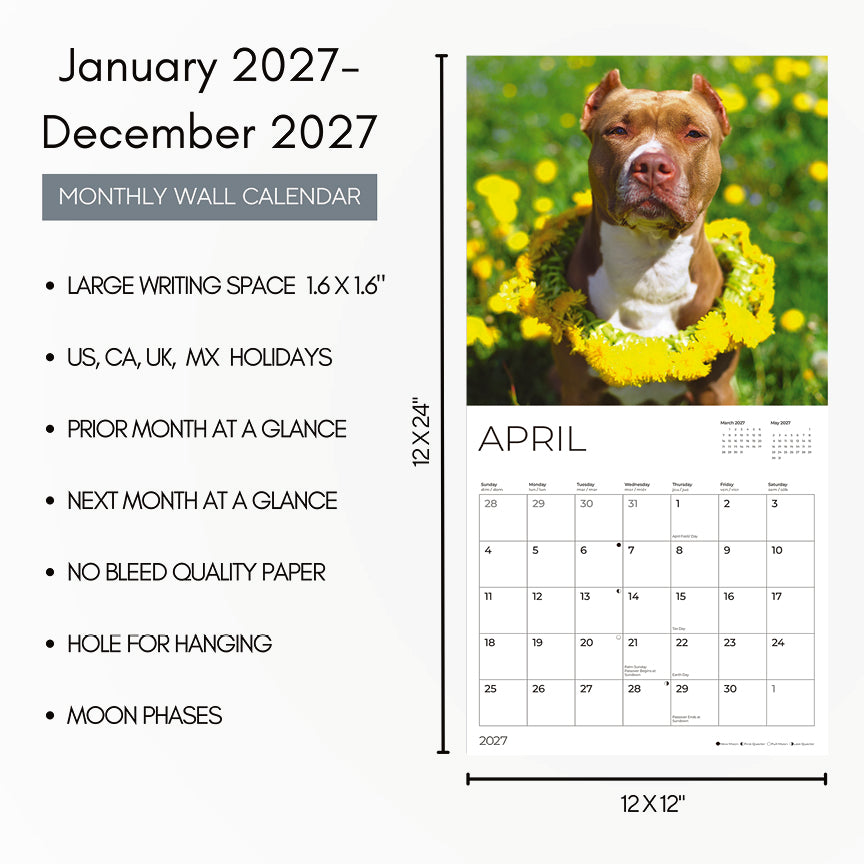 '27 Wall Calendar - Pit Bulls