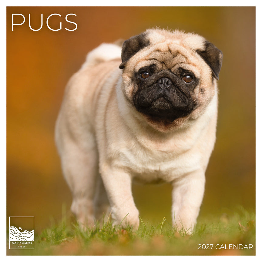 '27 Wall Calendar - Pugs