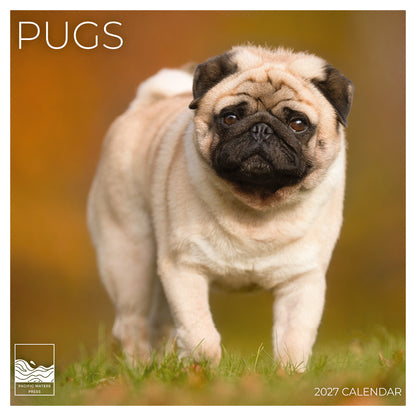 '27 Wall Calendar - Pugs