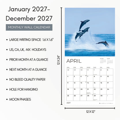 '27 Wall Calendar - Sea Animals