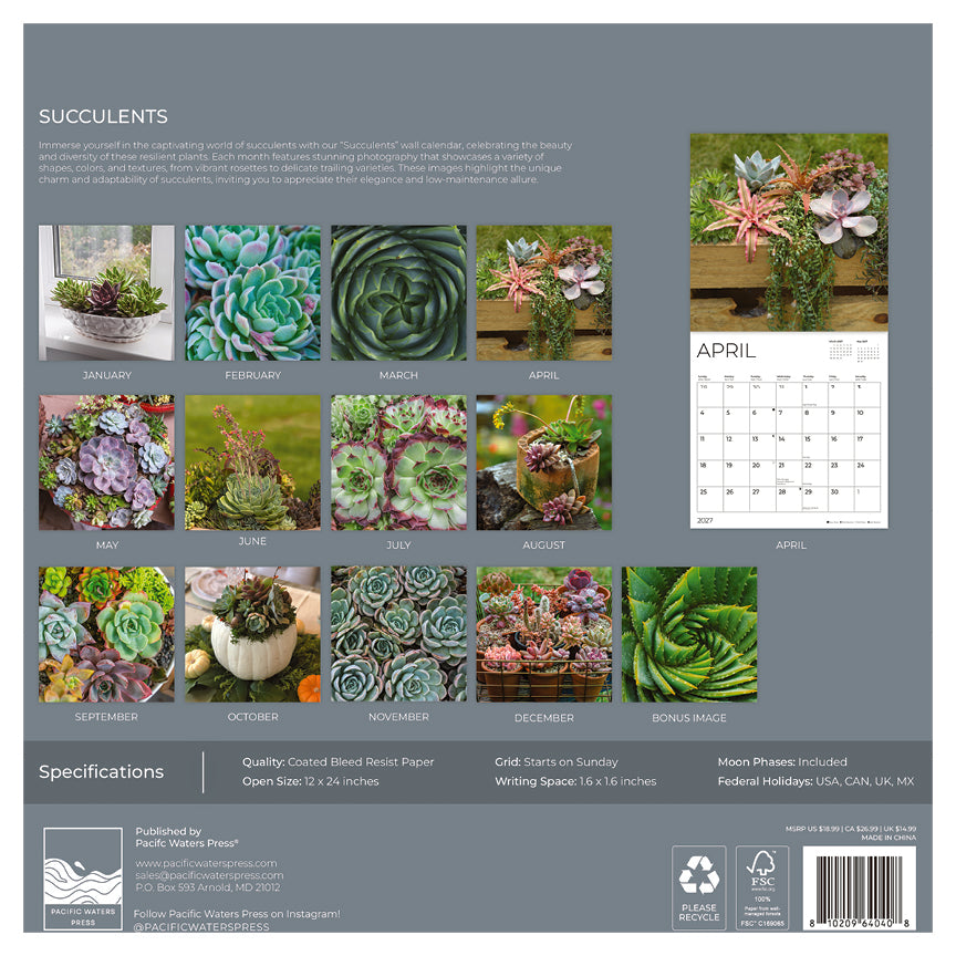 '27 Wall Calendar - Succulents