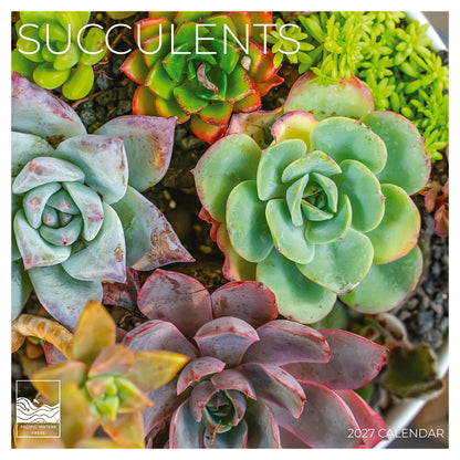 '27 Wall Calendar - Succulents