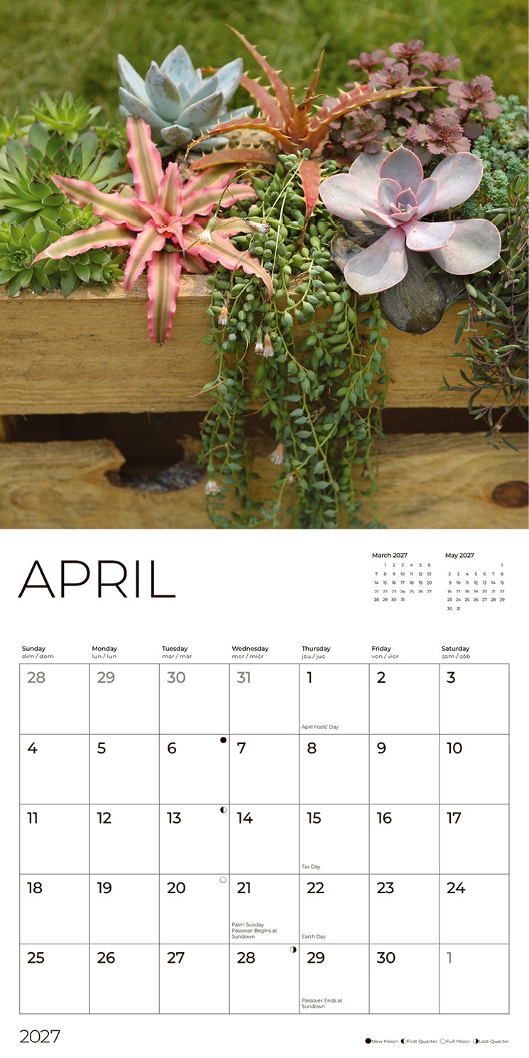 '27 Wall Calendar - Succulents