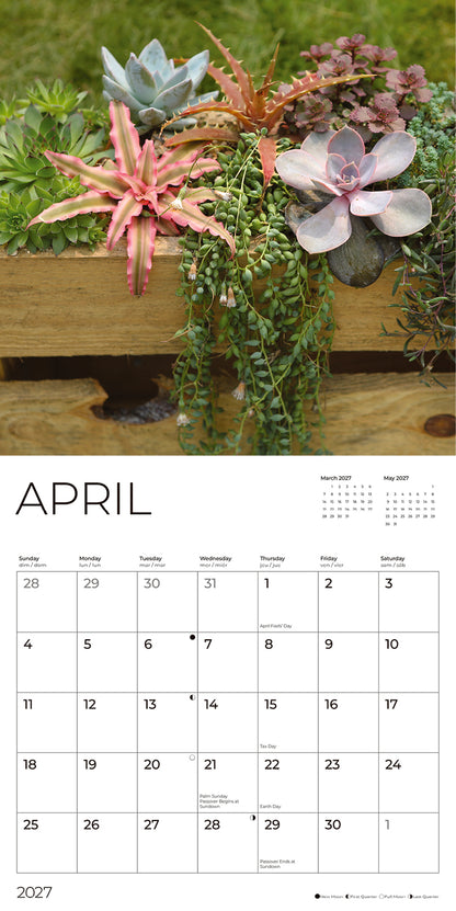 '27 Wall Calendar - Succulents