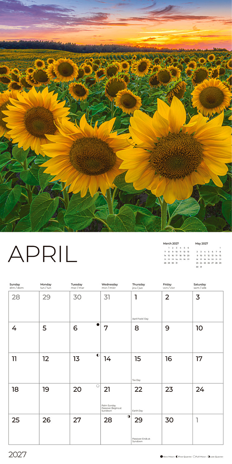 '27 Wall Calendar - Sunflowers