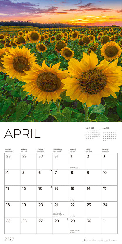 '27 Wall Calendar - Sunflowers