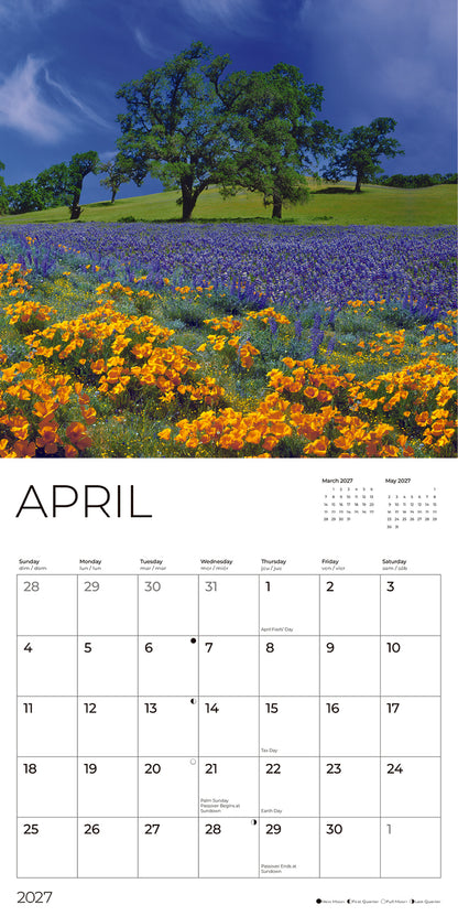 '27 Wall Calendar - Wildflowers