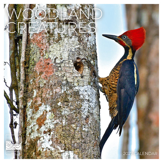 '27 Wall Calendar - Woodland Creatures
