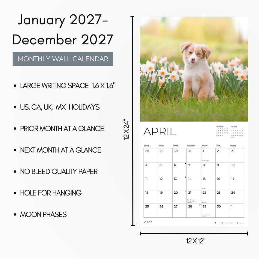 '27 Wall Calendar - Australian Shepherd Puppies