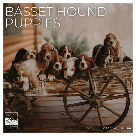'27 Wall Calendar - Basset Hound Puppies