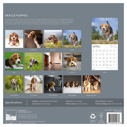 '27 Wall Calendar - Beagles Puppies