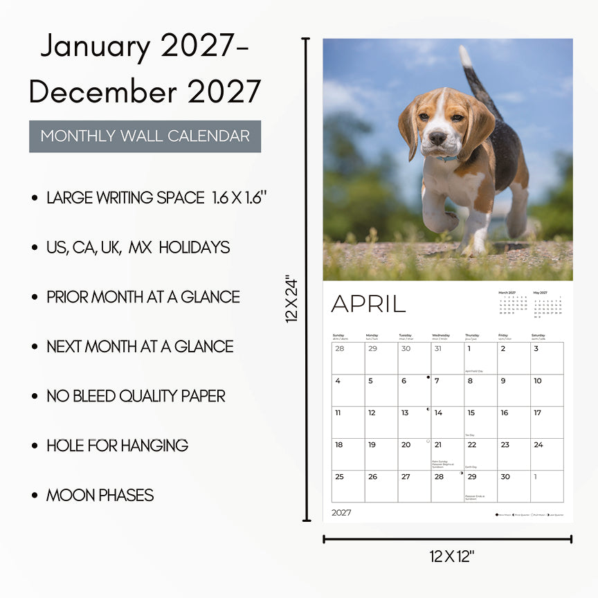 '27 Wall Calendar - Beagles Puppies