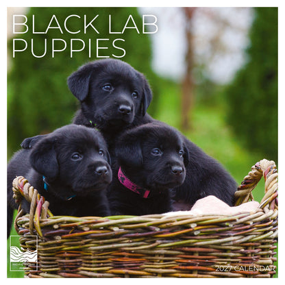 '27 Wall Calendar - Black Lab Puppies