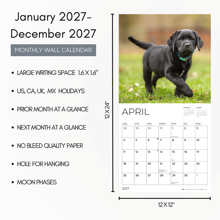 '27 Wall Calendar - Black Lab Puppies
