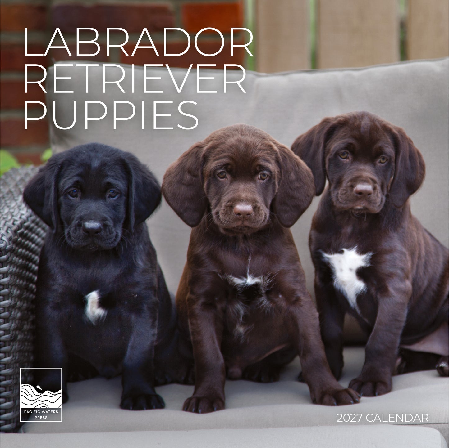 '27 Wall Calendar - Black Lab Puppies