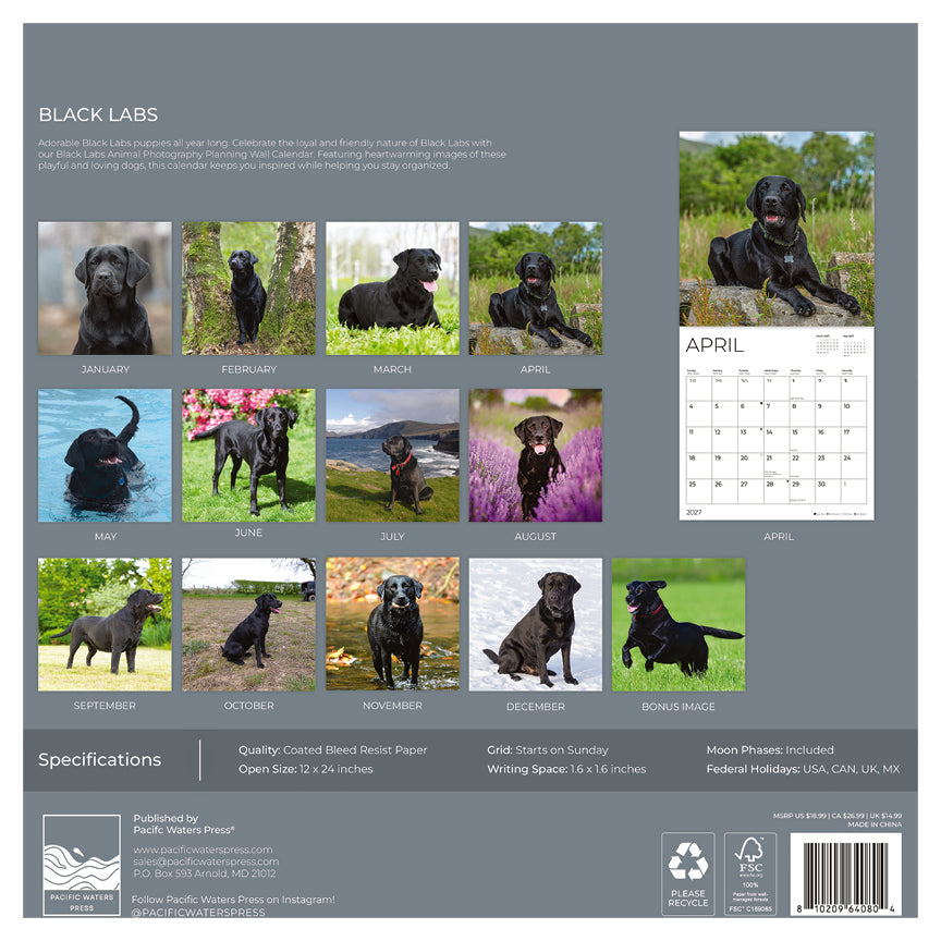 '27 Wall Calendar - Black Labs