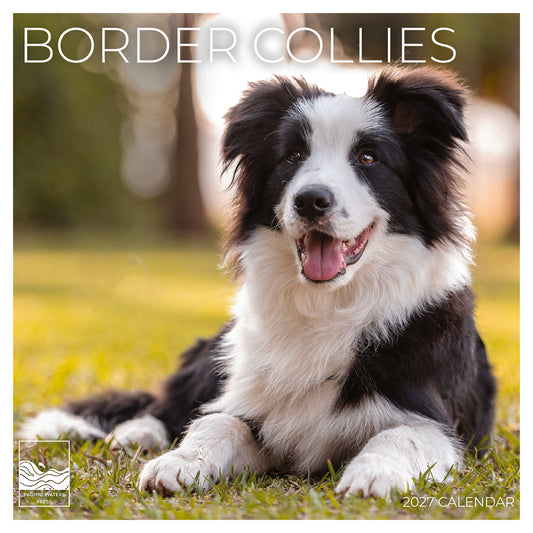 '27 Wall Calendar - Border Collies