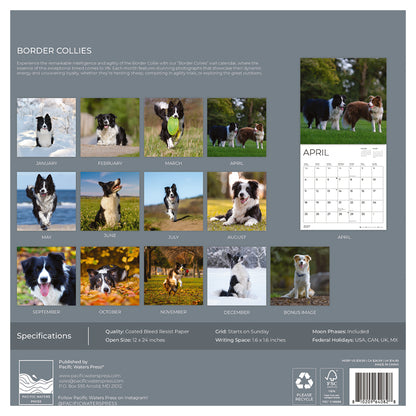 '27 Wall Calendar - Border Collies