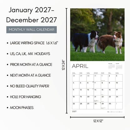 '27 Wall Calendar - Border Collies