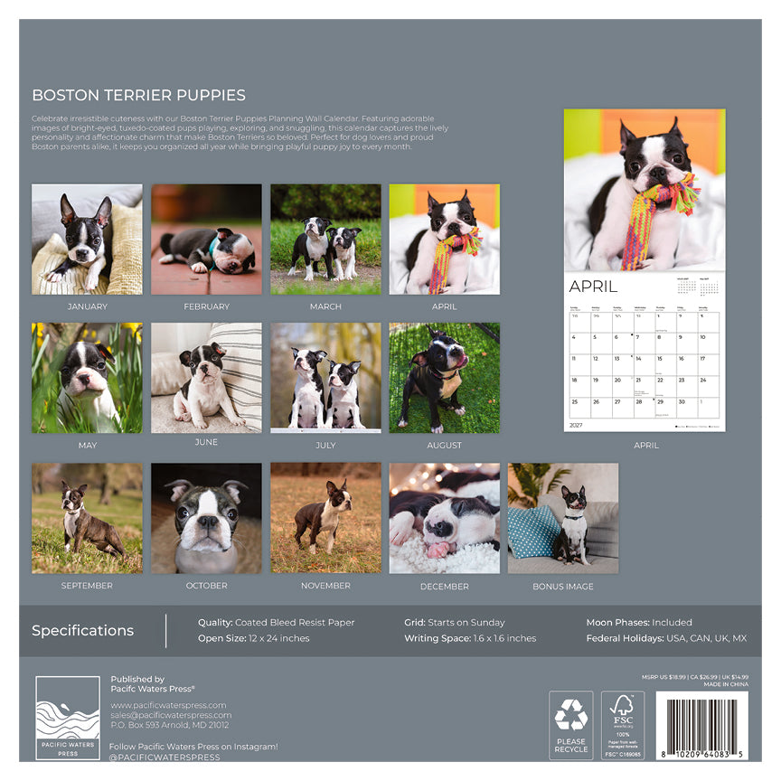 '27 Wall Calendar - Boston Terrier Puppies