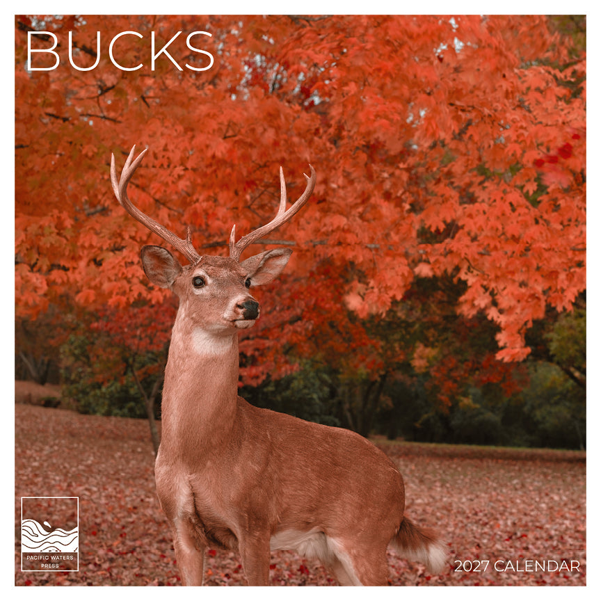'27 Wall Calendar - Bucks