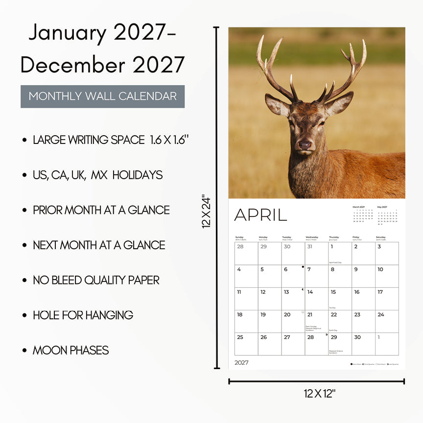 '27 Wall Calendar - Bucks