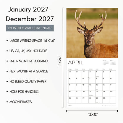 '27 Wall Calendar - Bucks