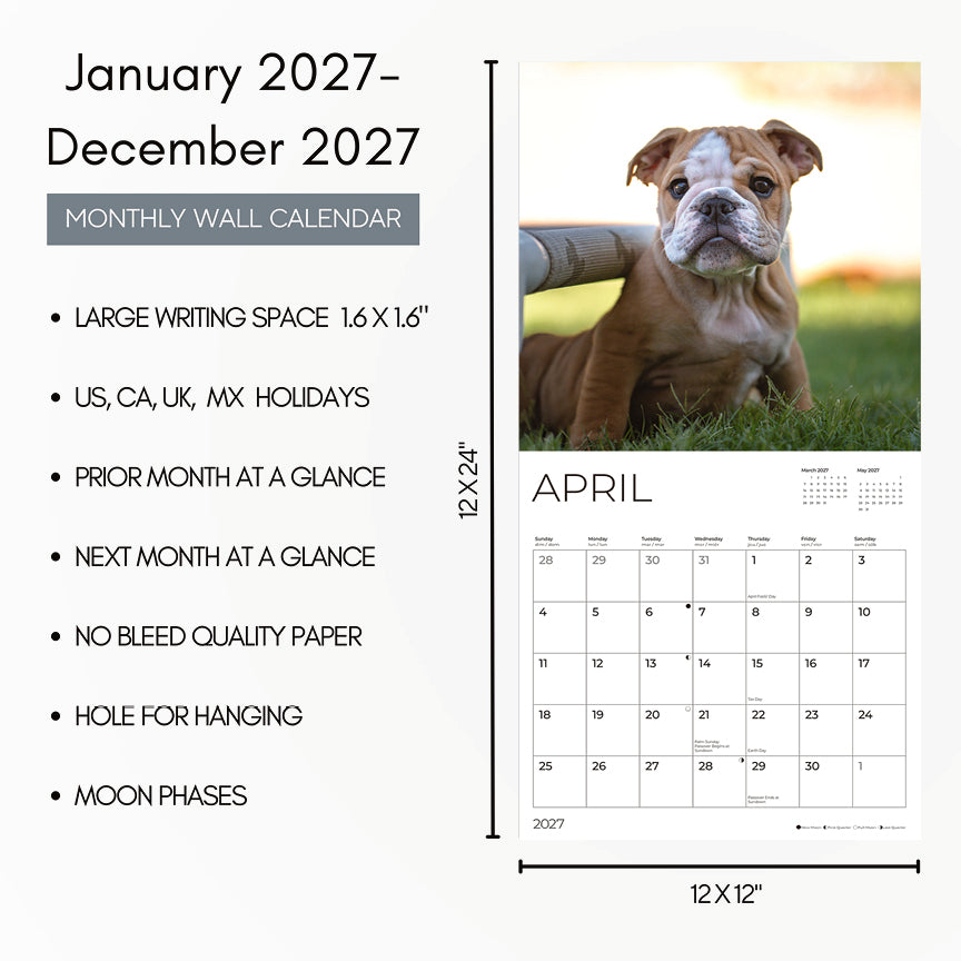 '27 Wall Calendar - Bulldog Puppies